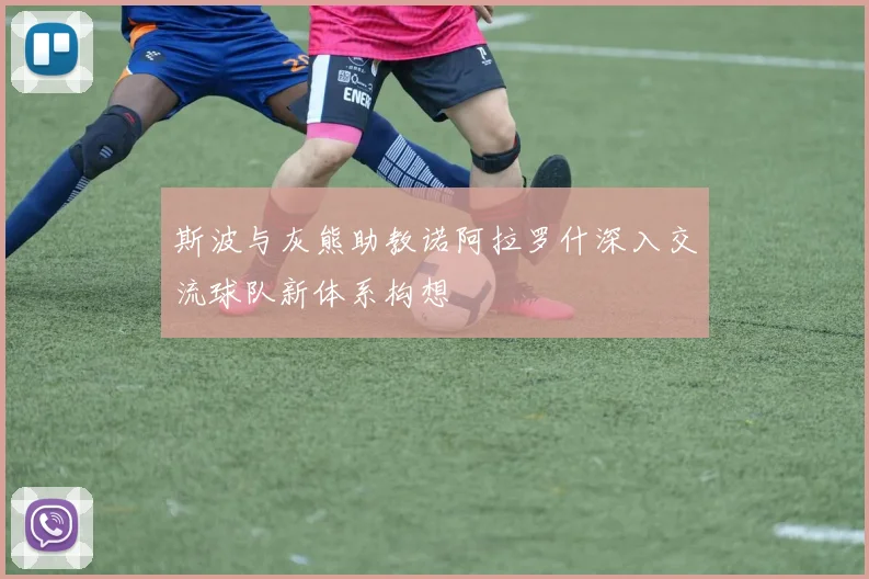 斯波与灰熊助教诺阿拉罗什深入交流球队新体系构想