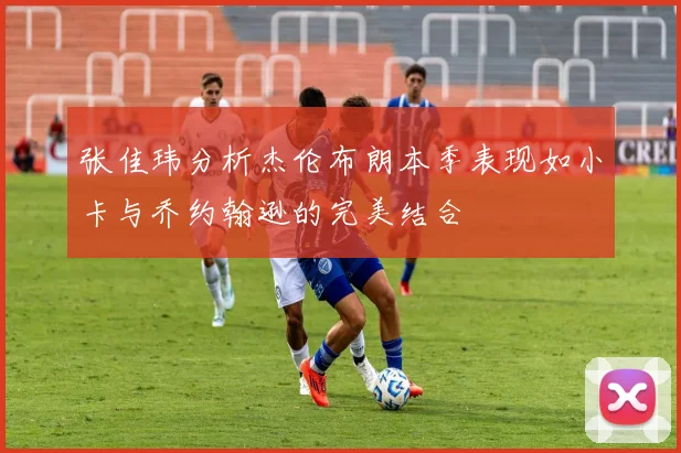 张佳玮分析杰伦布朗本季表现如小卡与乔约翰逊的完美结合