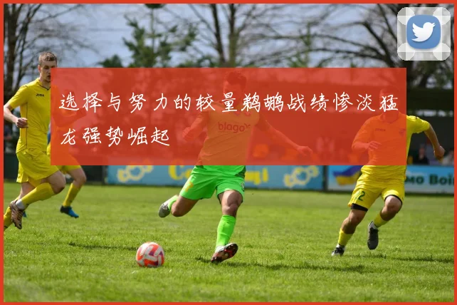 选择与努力的较量鹈鹕战绩惨淡猛龙强势崛起