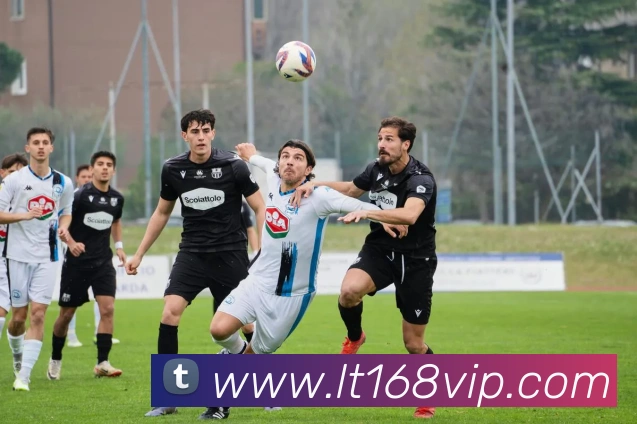 乐天堂fun88平台生态图